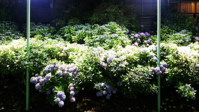 c0317717_22185839.jpg