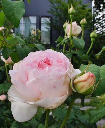f0205733_23102817.jpg