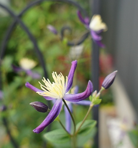 f0205733_23104208.jpg