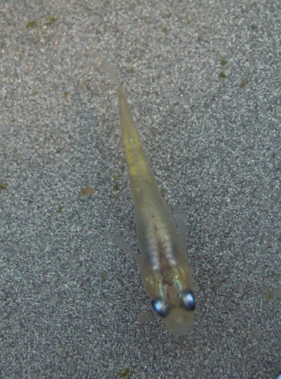 e0097534_1104824.jpg