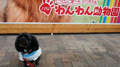 a0130451_9192312.jpg