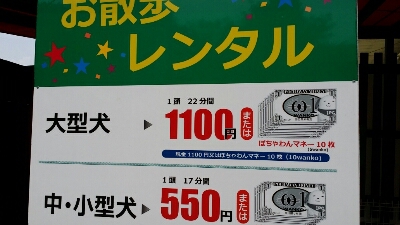 a0130451_9412831.jpg