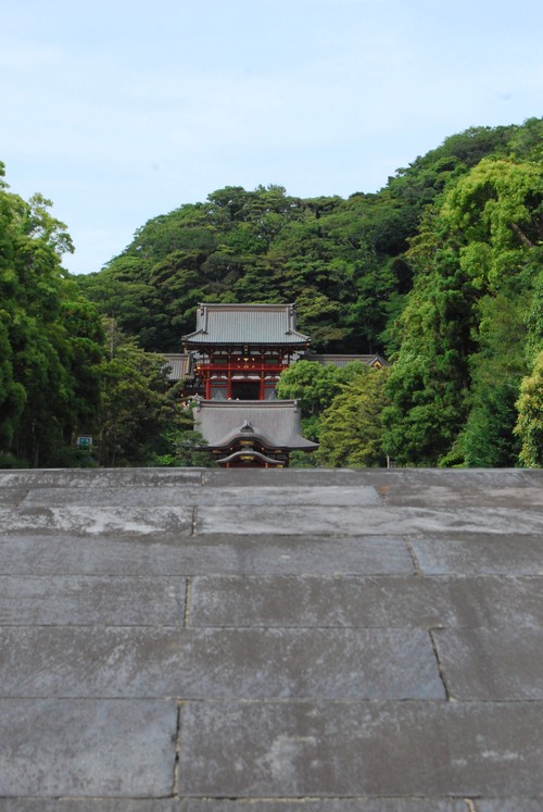 d0087062_15564472.jpg