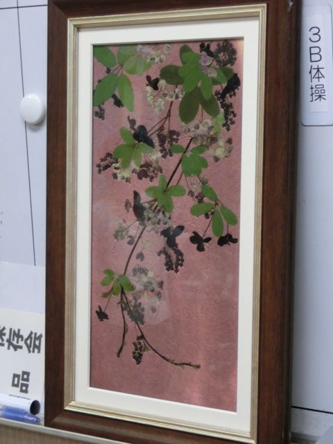 d0105063_184691.jpg