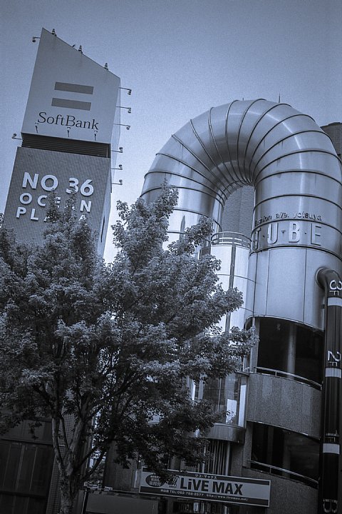 b0175964_2203147.jpg
