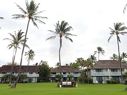 c0022164_949250.jpg
