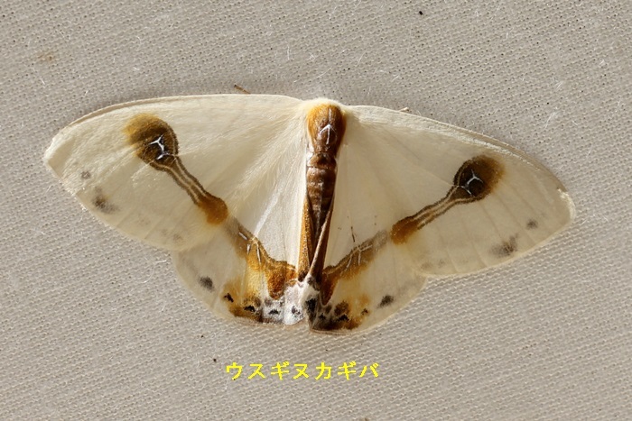 b0088772_15514095.jpg