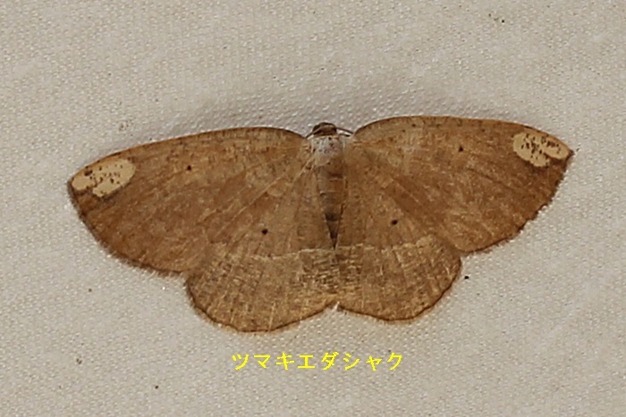 b0088772_15514600.jpg