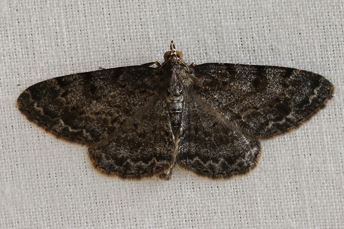 b0088772_15523505.jpg