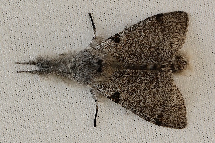 b0088772_15524814.jpg