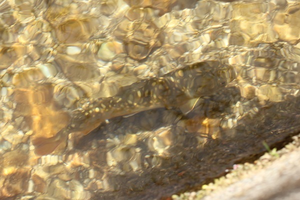 b0088772_15571314.jpg