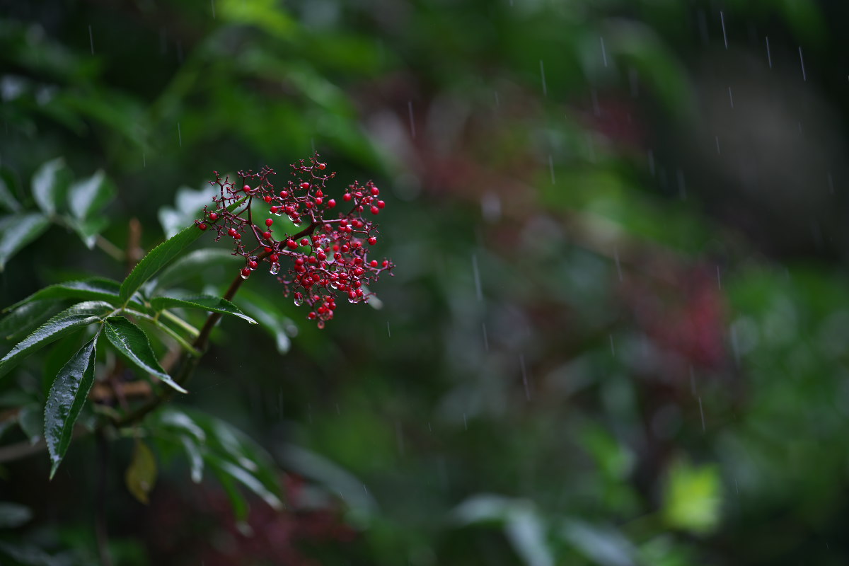 a0083081_17532299.jpg
