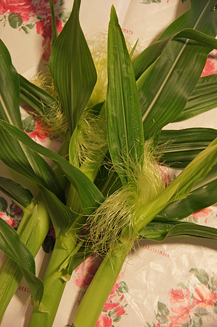 c0139591_1058245.jpg