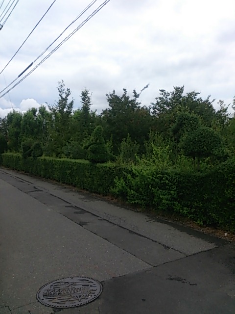 d0256297_17415010.jpg