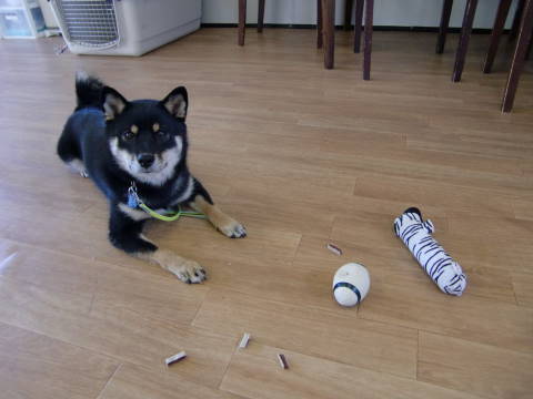 a0338800_22133643.jpg