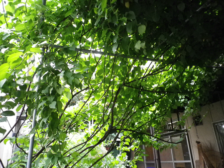 f0239100_2236487.jpg