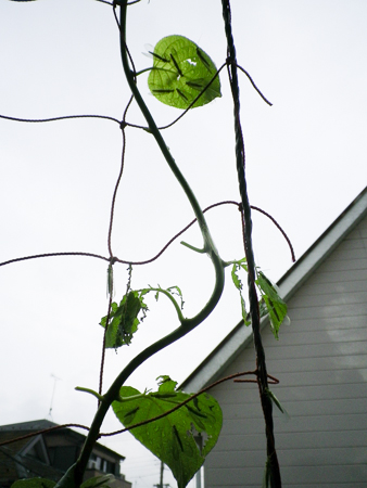 f0239100_2304013.jpg
