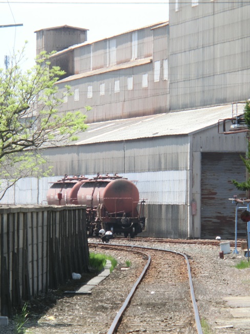 d0004301_20101594.jpg