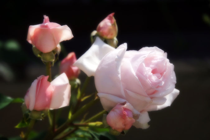 a0263109_815503.jpg