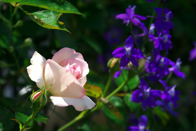 a0263109_8155143.jpg