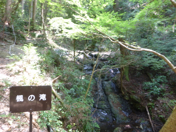 d0170615_9452781.jpg