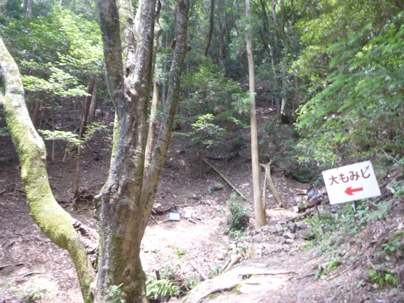 d0170615_945382.jpg