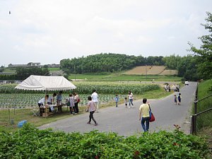 d0120421_1829477.jpg