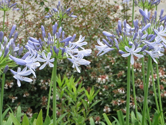 c0280322_22280129.jpg