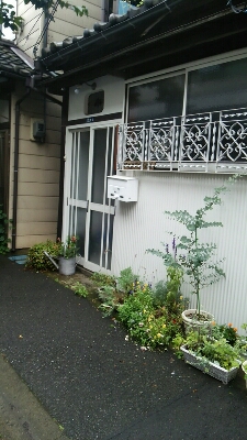 f0106823_19513594.jpg