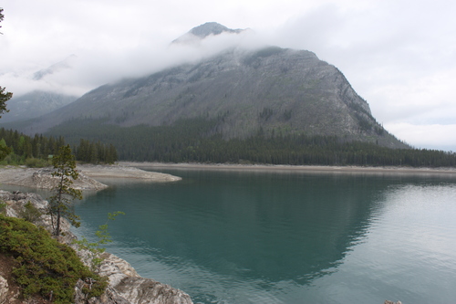 a0163227_2316387.jpg