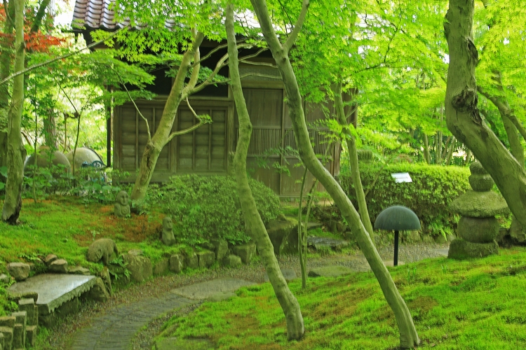 c0104227_16263843.jpg