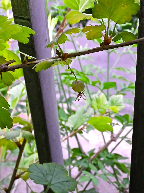 b0027736_1823448.jpg
