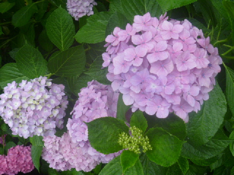 b0246036_9421591.jpg