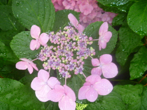 b0246036_945455.jpg