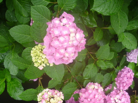 b0246036_9462488.jpg