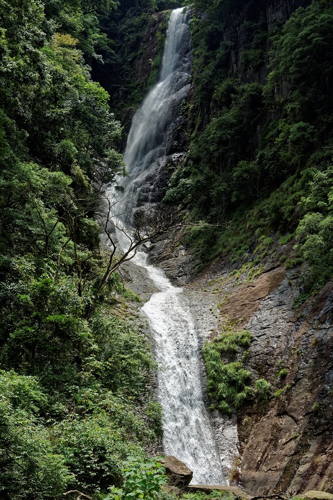 f0274536_22475859.jpg