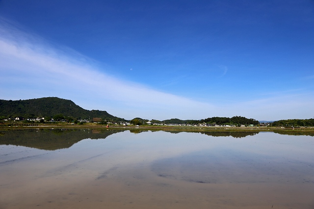 a0242438_18494741.jpg