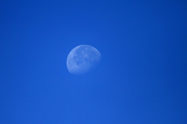 a0242438_18495356.jpg