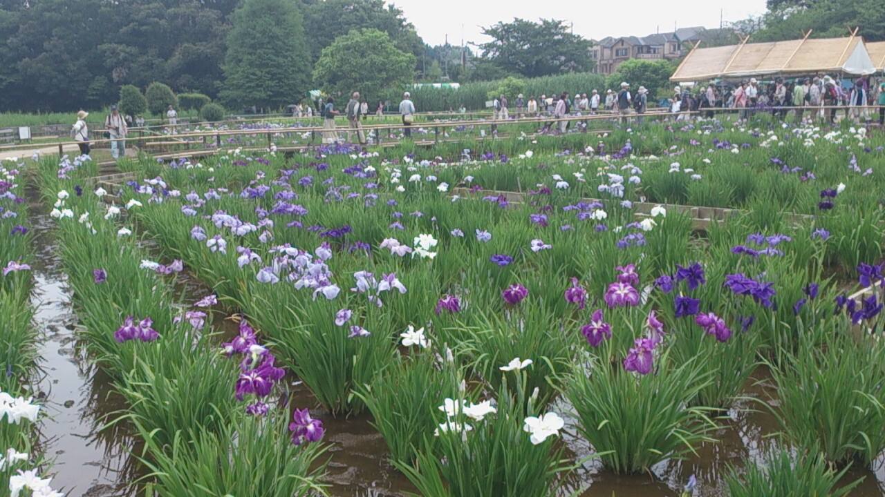 a0220446_012496.jpg