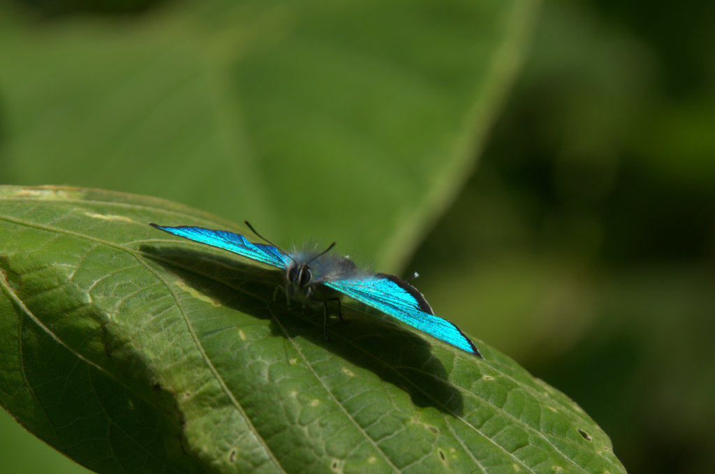 d0098057_1071981.jpg