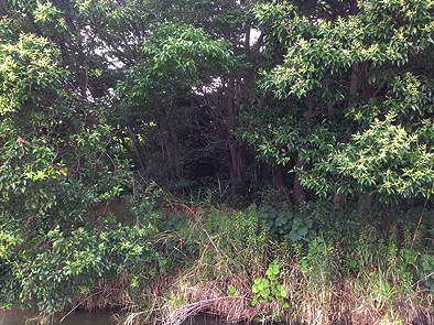 b0177760_23365443.jpg