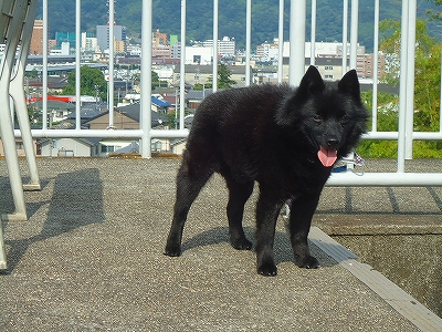e0002466_215745100.jpg