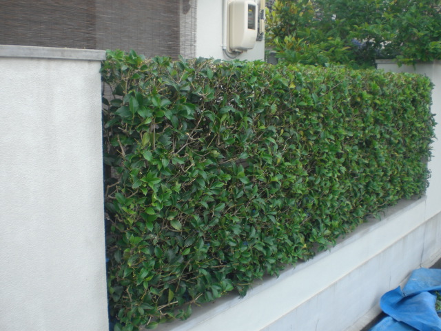 f0153475_1646236.jpg