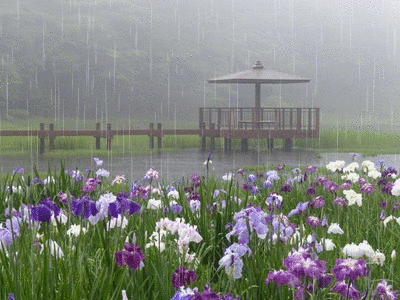 f0357487_1211176.gif