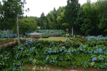 f0353990_09394365.jpg