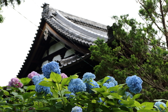 a0325492_21490566.jpg