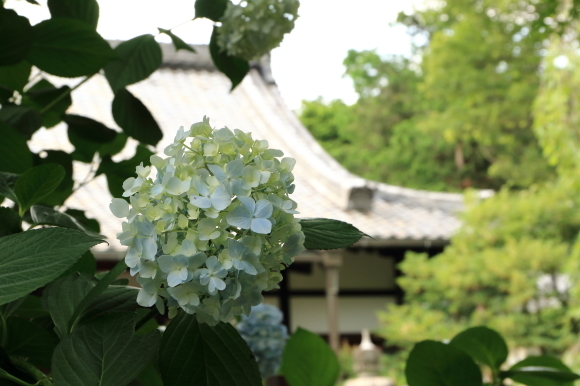a0325492_21491558.jpg