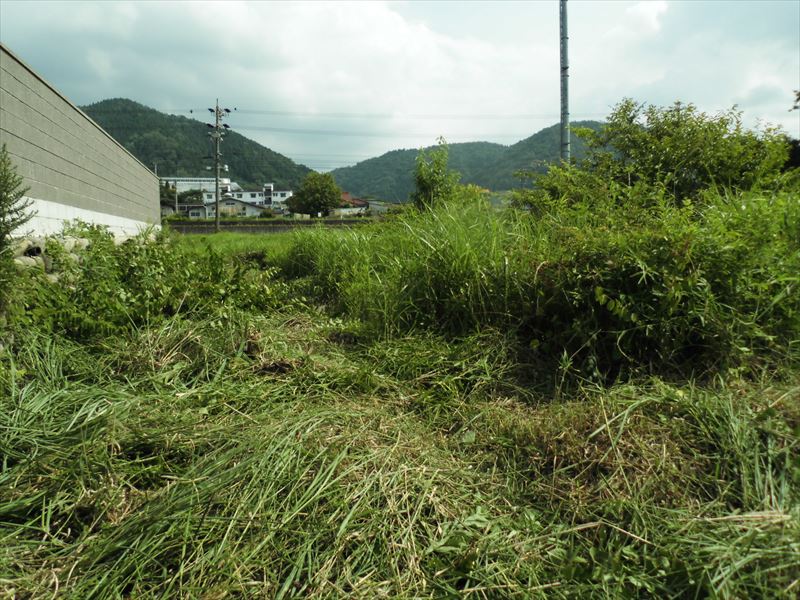 c0108198_165993.jpg