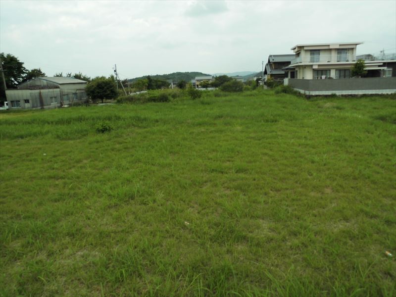 c0108198_169465.jpg