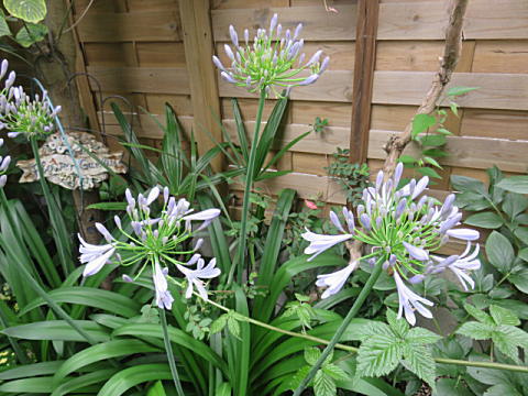 d0046702_1381236.jpg